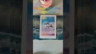 Messages from your Higher Self❣️#higherself #message #shorts #tarot