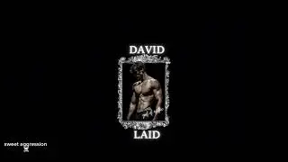 David laid X lady Gaga | poker - face full song | gym song( slowed + reverb) 🎧🎵 @sweet_aggression