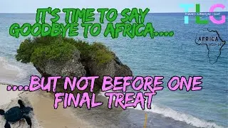 It's time to leave Africa, but not before one final treat..