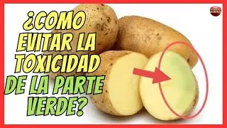 🆘 &iexcl;CUIDADO LA PARTE VERDE DE LAS PATATAS ES T&Oacute;XICA SI NO LA COCINAS BIEN! 🆘