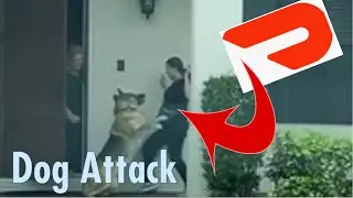 DoorDash Driver Attacked By 2 Dogs. Dashers At Risk Every Delivery