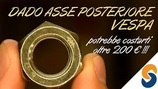 DADO ASSE POSTERIORE VESPA
