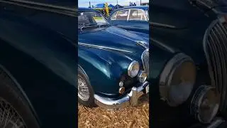 Vintage Car #shorts #carmuseum #ClassicCarShow #CarShow #Eden #sedgefield #Classic #vintagecars