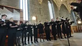 Stjärnorna - Vadstena Sång och Pianoakademi