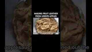 MAKING FRUIT LEATHER FROM UNRIPE APPLES #offgrid #homesteading #dehydrator #apples