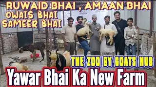 New Farm Special Quality Goats Saste Bakre Lo Aur Shouk Karo|| The Zoo By Goats Hub Trombay Mumbai||