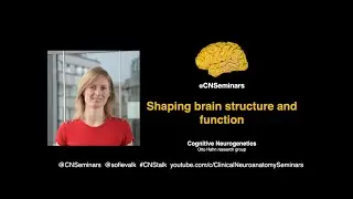 #CNStalk: Shaping brain structure and function - Sofie Valk