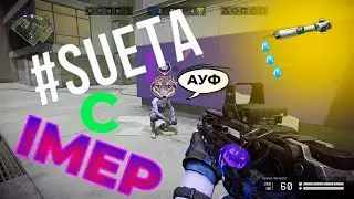 ✅СУЕТА IMEP✅