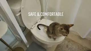 The CatThrone - The First Humane Cat Toilet Training System