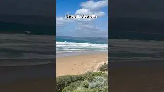 Boonah Coastal Reserve