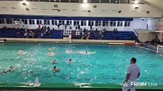 Live streaming of Rapid București Junior Waterpolo Team - Fan Zone