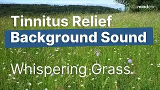 Ultimate Tinnitus Relief: Soothing Whispering Grass Sounds for Deep Relaxation