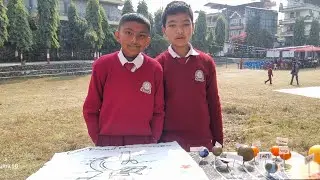 Little Step Secondary school, Pokhara - 8  41st anniversary art & craft, science exhibition.