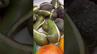 5 fruits glaces et l&eacute;gumes par jour 🤓