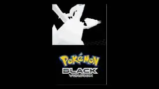 Pokemon Blaze Black Walkthrough