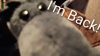 Handagons s4 ep5, The Return of The Blue Dragon (ft. Pablo)
