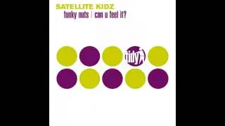 Satellite Kidz - Funky Nuts (Original Mix) [Tidy]