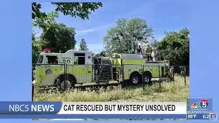 Cat rescued but mystery unsolved