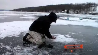Owasco Lake Trout