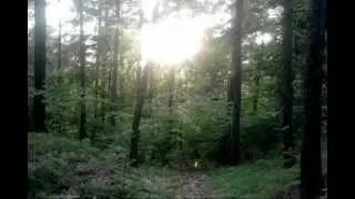 Solverus - Zabrane Dni