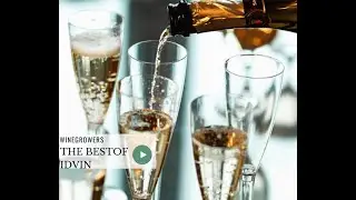 🍷New wine economy / Best of