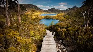 New Cradle Mountain shuttle bus fee slammed by both tourists and locals