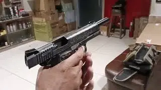 Sig sauer 1911 We The People Airgun