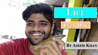 Life In A Day 2020 | By Aseem Khan