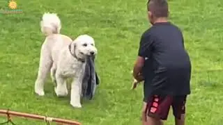 Funny Kids 😍Animals with Bike🏍️ || Funny Animals || Kids with Bike || Lovely Cats and Dogs