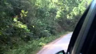 Yellapur Arbail ghat