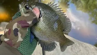 Fishing adventure 5/21/25: Nice Wednesday afternoon