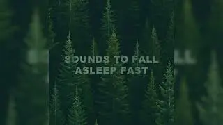Sleep Soul - Lo-Fi Rainy Night (Official Audio)