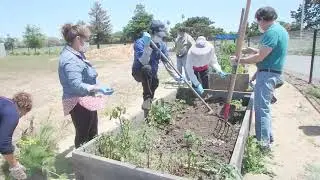 121 San Mateo Bizzy Bee Garden Plot