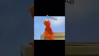 elmo memes
