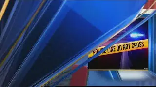 Statesboro man lying in street dies after being run over Sunday morning