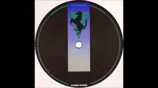 Radio Slave - Incognito
