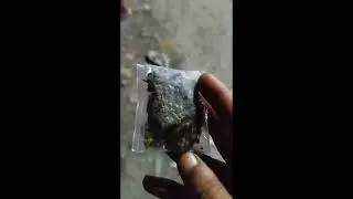 BEST WEED SHOP IN KOLKATA | 100rs WEED | #weeding #canabis_sativa #marijuananews | CHEAP RATE GAJA
