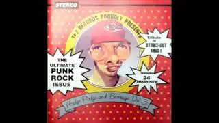 Various &ndash; Hodge Podge And Barrage Vol.3 ULTIMATE Garage Rock-Punk Rock & Roll Music Bands Collection