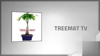TREEMAT INTRO