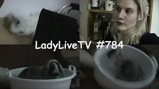 HASE SEGELT VON DER COUCH! (21. 01. 15 - LadyLiveTV #784)