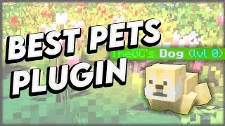 BEST Minecraft Pets Plugin | Minecraft Plugins