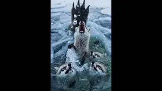 subscribe my youtube      #HorrorReels#ScaryReels#CreepyVideo#AIHorror#DarkReels#HorrorClips