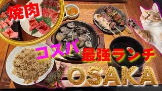 [Osaka Gourmet] Лучший якинику, якитори по лучшей цене и осенний карри на обед #osakagourmet