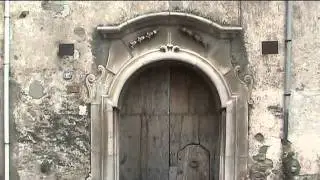 Oriolo regno della ginestra