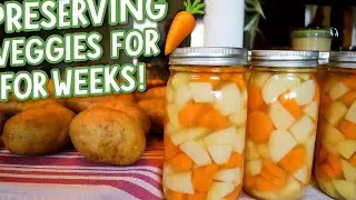 Pantry Restock! 🥕🥔 How I Preserve Potatoes & Carrots for Longer Shelf Life