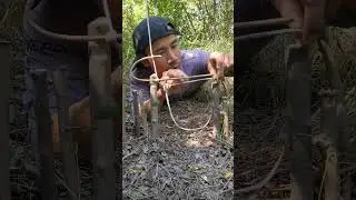 Forest trap creative skills #trap