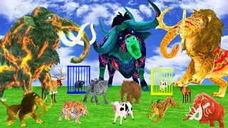 5 Giant Elephant Cow Vs Giant Bison BaKu 5 Buffalo Vs 5 Giant Lion Tiger Saved By Wolly Mammoth