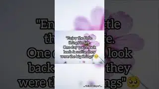 Enjoy every small moments🥺#shorts #quotes#memories #inspiration#motivation#mindset#shortvideo#poetry