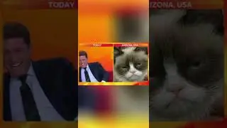 Cats love attention 😂😂😂 #funny #cat
