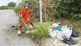 The sidewalks were overgrown with elephant grass and bamboo like ancient trees. We subdued them.